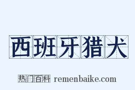 西班牙猎犬是什么意思的图片